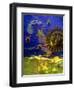 Blue and Gold Sun-Katherine Fawssett-Framed Giclee Print