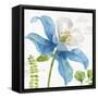 Blue and Green Garden II-Lisa Audit-Framed Stretched Canvas