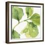 Blue and Green Garden VII-Lisa Audit-Framed Art Print