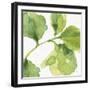 Blue and Green Garden VII-Lisa Audit-Framed Art Print