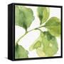 Blue and Green Garden VII-Lisa Audit-Framed Stretched Canvas