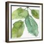 Blue and Green Garden VIII-Lisa Audit-Framed Art Print