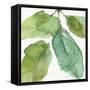 Blue and Green Garden VIII-Lisa Audit-Framed Stretched Canvas