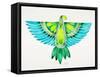 Blue and Green Parrot-Cat Coquillette-Framed Stretched Canvas