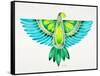 Blue and Green Parrot-Cat Coquillette-Framed Stretched Canvas