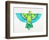 Blue and Green Parrot-Cat Coquillette-Framed Art Print