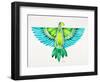 Blue and Green Parrot-Cat Coquillette-Framed Art Print