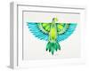 Blue and Green Parrot-Cat Coquillette-Framed Art Print