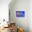 Blue And Orange Fish-Ata Alishahi-Giclee Print displayed on a wall