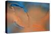 Blue and Orange Flow-Cora Niele-Stretched Canvas