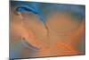 Blue and Orange Flow-Cora Niele-Mounted Photographic Print