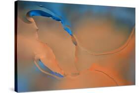 Blue and Orange Flow-Cora Niele-Stretched Canvas