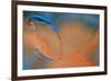 Blue and Orange Flow-Cora Niele-Framed Photographic Print