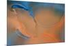 Blue and Orange Flow-Cora Niele-Mounted Photographic Print