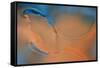 Blue and Orange Flow-Cora Niele-Framed Stretched Canvas