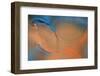 Blue and Orange Flow-Cora Niele-Framed Premium Photographic Print