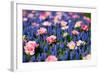 Blue and Pink Flowers-BlueOrange Studio-Framed Photographic Print