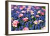 Blue and Pink Flowers-BlueOrange Studio-Framed Photographic Print