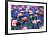 Blue and Pink Flowers-BlueOrange Studio-Framed Photographic Print