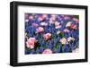 Blue and Pink Flowers-BlueOrange Studio-Framed Photographic Print