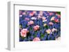 Blue and Pink Flowers-BlueOrange Studio-Framed Photographic Print