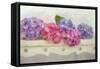 Blue and Pink Hydrangea flowers on a Bench-Cora Niele-Framed Stretched Canvas