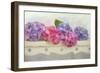 Blue and Pink Hydrangea flowers on a Bench-Cora Niele-Framed Giclee Print