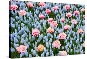 Blue and Pink Spring Flowerbed-neirfy-Stretched Canvas
