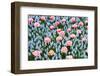 Blue and Pink Spring Flowerbed-neirfy-Framed Photographic Print