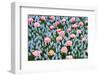 Blue and Pink Spring Flowerbed-neirfy-Framed Photographic Print