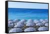 Blue and white beach parasols, Nice, Alpes Maritimes, Cote d'Azur, Provence, France, Mediterranean,-Fraser Hall-Framed Stretched Canvas