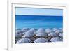 Blue and white beach parasols, Nice, Alpes Maritimes, Cote d'Azur, Provence, France, Mediterranean,-Fraser Hall-Framed Photographic Print