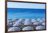 Blue and white beach parasols, Nice, Alpes Maritimes, Cote d'Azur, Provence, France, Mediterranean,-Fraser Hall-Framed Photographic Print