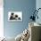 Blue and White Border Collie Puppy and Black and White Tuxedo Kitten, Tuxie, 11 Weeks-Mark Taylor-Stretched Canvas displayed on a wall