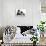 Blue and White Border Collie Puppy and Black and White Tuxedo Kitten, Tuxie, 11 Weeks-Mark Taylor-Photographic Print displayed on a wall