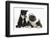 Blue and White Border Collie Puppy and Black and White Tuxedo Kitten, Tuxie, 11 Weeks-Mark Taylor-Framed Photographic Print