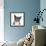 Blue-And-White Burmese-Cross Cat, Levi, Head Portrait-Mark Taylor-Framed Photographic Print displayed on a wall