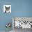 Blue-And-White Burmese-Cross Cat, Levi, Head Portrait-Mark Taylor-Photographic Print displayed on a wall