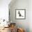 Blue-And-White Burmese-Cross Cat, Levi, Reaching Up-Mark Taylor-Framed Photographic Print displayed on a wall