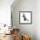 Blue-And-White Burmese-Cross Cat, Levi, Reaching Up-Mark Taylor-Framed Photographic Print displayed on a wall