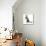 Blue-And-White Burmese-Cross Cat, Levi, Reaching Up-Mark Taylor-Mounted Photographic Print displayed on a wall