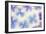 Blue and White Hydrangea Flowers-Cora Niele-Framed Photographic Print