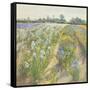 Blue and White Irises, Wortham-Timothy Easton-Framed Stretched Canvas