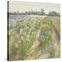 Blue and White Irises, Wortham-Timothy Easton-Stretched Canvas