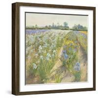 Blue and White Irises, Wortham-Timothy Easton-Framed Giclee Print