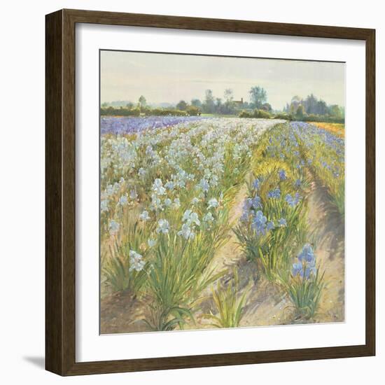 Blue and White Irises, Wortham-Timothy Easton-Framed Giclee Print