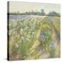 Blue and White Irises, Wortham-Timothy Easton-Stretched Canvas
