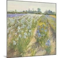 Blue and White Irises, Wortham-Timothy Easton-Mounted Giclee Print