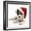 Blue-And-White Jack Russell Terrier Puppy, Scamp, Wearing a Father Christmas Hat-Mark Taylor-Framed Photographic Print