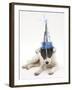 Blue-And-White Jack Russell Terrier Puppy, Scamp, Wearing a Party Hat-Mark Taylor-Framed Photographic Print